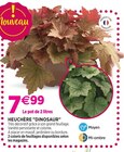 Delbard Crest - Promo Heuchère "Dinosaur" Promo Heuchère "Dinosaur" à 7,99 € dans le catalogue Delbard à Crest