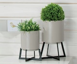 Aktuelles Pflanztopf H: ca. 24,5 cm Angebot bei Opti-Wohnwelt in Bremerhaven ab 14,99 €