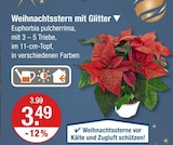 Weihnachtsstern mit Glitter von  im aktuellen V-Markt Prospekt für 3,49 €