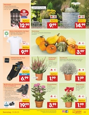 Schuhe im Netto Marken-Discount Prospekt in Wunstorf Aktueller Netto Marken-Discount Prospekt mit Schuhe, "Aktuelle Angebote", Seite 31