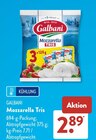 Aktuelle Mozzarella Angebote bei ALDI SÜD in Duisburg Aktuelles Mozzarella Tris Angebot bei ALDI SÜD in Duisburg ab 2,89 €