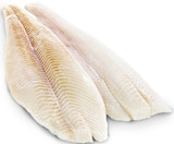 Heilbuttfilet von Pro Trace im aktuellen METRO Prospekt für 24,06 €