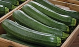 Courgette - Netto Courgette à 1,29 € dans le catalogue Netto