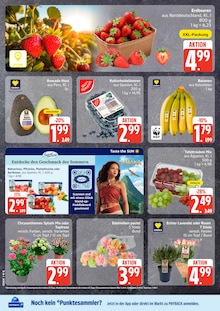 Erdbeeren im aktuellen E center Prospekt (Lübeck) Erdbeeren im E center Prospekt "Top Angebote" mit 30 Seiten (Lübeck)