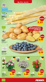 Aktueller Penny Prospekt mit Spargel, "Wer günstig will, muss Penny.", Seite 3