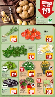 Blumenerde im REWE Prospekt "Dein Markt" mit 28 Seiten (Mülheim (Ruhr))