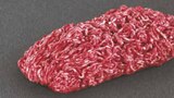 Rinder-Hackfleisch im Angebot bei Netto Marken-Discount in Menden Rinder-Hackfleisch Angebote von GUT PONHOLZ bei Netto Marken-Discount Menden für 5,29 €