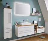 Aktuelles Waschtischunterschrank Angebot bei Möbel Martin in Trier ab 99,00 €