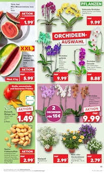 Gartenmöbel Angebot im aktuellen Kaufland Prospekt auf Seite 19