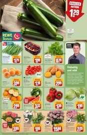 Ähnliche Tulpen Angebote im Prospekt "Dein Markt" von REWE in Euskirchen Ähnliche Angebote wie Tulpen im Prospekt "Dein Markt" auf Seite 7 von REWE in Euskirchen
