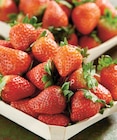 Intermarché Contact Fontaine-Française - Promo Fraise Ronde Promo Fraise Ronde à 2,99 € dans le catalogue Intermarché Contact à Fontaine-Française
