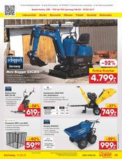 Gartengeräte im Netto Marken-Discount Prospekt in Hofheim Aktueller Netto Marken-Discount Prospekt mit Gartengeräte, "Aktuelle Angebote", Seite 39