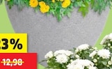 Pflanztopf Stone ca. ø 40 cm x H 31 cm im Angebot bei Thomas Philipps in Mühlhausen Pflanztopf Stone ca. ø 40 cm x H 31 cm Angebote bei Thomas Philipps Mühlhausen für 9,99 €