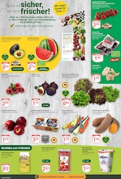 Zwetschgen Angebot & Preis im aktuellen GLOBUS Prospekt Zwetschgen Angebot im aktuellen GLOBUS Prospekt auf Seite 8