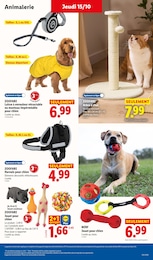 Prix et réduction Nerf dans le prospectus Lidl en cours Offre Nerf dans le catalogue Lidl du moment à la page 43