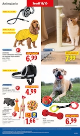 Promos Nerf dans le catalogue "LE MOIS TOUJOURS PLUS" de Lidl Nerf en promo dans le catalogue Lidl à la page 43
