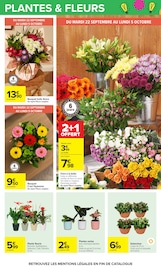 Promos Kalanchoë dans le catalogue "LE MOIS MONOPOLY" de Carrefour à la page 68 Promos Kalanchoë dans le catalogue "LE MOIS MONOPOLY" de Carrefour à la page 68