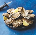 Promo Huitres fines de Bretagne à 8,91 € dans le catalogue U Express à Saint-Rémy-de-Provence