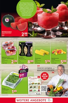 Rumpsteak Angebot im aktuellen Selgros Prospekt auf Seite 3