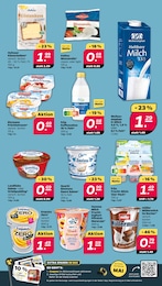 Joghurt Angebot im aktuellen Netto mit dem Scottie Prospekt auf Seite 11