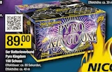 Pyro Kingdom von Nico im aktuellen V-Markt Prospekt für 89,00 €