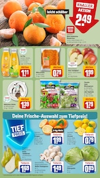 REWE Champignons im Prospekt 