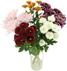 Aktuelle Blumen Angebote bei Penny in Oberhausen Aktuelles Chrysanthemen Santini Festival Angebot bei Penny in Oberhausen ab 2,99 €