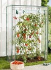Tomatengewächshaus im aktuellen REWE Prospekt
