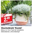 Stacheldraht 'Kombi' bei bauSpezi im Ebermannstadt Prospekt für 2,49 €