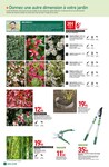 Plantes Et Fleurs Plantes Et Fleurs