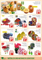 Aktueller Marktkauf Prospekt mit Bio, "Top Angebote", Seite 6