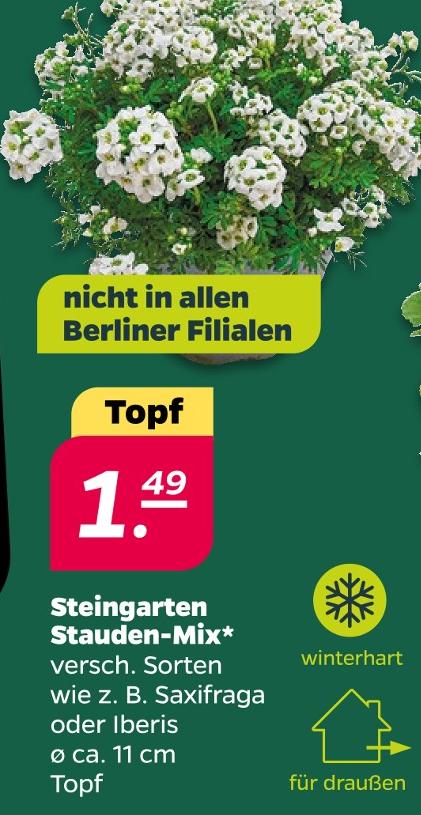 Steingarten Stauden-Mix