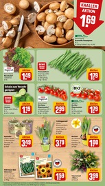 Garten im REWE Prospekt in Soest Aktueller REWE Prospekt mit Garten, "Dein Markt", Seite 5