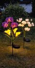 LED Solar Blumen Rose im Netto Marken-Discount Prospekt LED Solar Blumen Rose von im aktuellen Netto Marken-Discount Prospekt für 6,99 €