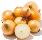 10 % Rabatt im Netto mit dem Scottie Prospekt zum Preis von 