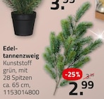 Edeltannenzweig im Angebot bei ROLLER in Remscheid Edeltannenzweig Angebote bei ROLLER Remscheid für 2,99 €