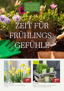 Blumen im Pflanzen Kölle Prospekt "ZEIT FÜR FRÜHLINGSGEFÜHLE" mit 3 Seiten (Nürnberg)