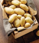 Intermarché Super Châteaulin - Promo Pomme de Terre de Consommation Nouvelle Récolte Promo Pomme de Terre de Consommation Nouvelle Récolte à 1,99 € dans le catalogue Intermarché Super à Châteaulin
