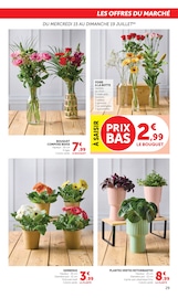 Promos Jardinage dans le catalogue "Super U" de Super U Jardinage en promo dans le catalogue Super U à la page 29