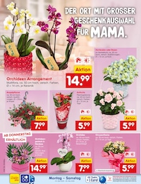 Netto Marken-Discount Blumen im Prospekt 