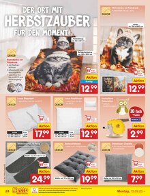 Teppich im Netto Marken-Discount Prospekt "Aktuelle Angebote" mit 60 Seiten (Osnabrück)