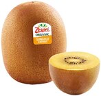 REWE Hilchenbach - Jumbo Bio SunGold Kiwi Angebot im Prospekt Jumbo Bio SunGold Kiwi bei REWE im Hilchenbach Prospekt für 1,19 €