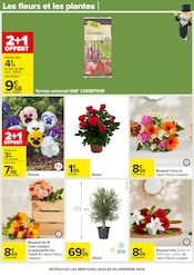 Fleurs Angebote im Prospekt "LE MOIS MONOPOLY" von Carrefour Fleurs Angebote im Prospekt "LE MOIS MONOPOLY" von Carrefour auf Seite 62