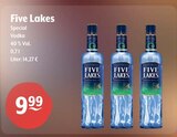 Special Vodka bei Huster im Meerane Prospekt für 9,99 €
