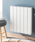 Promo Radiateur à inertie Fluide Orosi à 209,00 € dans le catalogue Mr. Bricolage à Auch