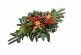 Grab-Bouquet im Angebot bei Netto Marken-Discount in Bielefeld Grab-Bouquet Angebote bei Netto Marken-Discount Bielefeld für 12,99 €