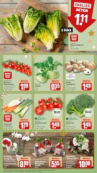 Pflanzen im REWE Prospekt "Dein Markt" mit 22 Seiten (Bremen)