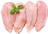 Frische Hähnchenbrustfilets im Netto mit dem Scottie Prospekt Frische Hähnchenbrustfilets von Meine Fleischerei im aktuellen Netto mit dem Scottie Prospekt für 5,99 €