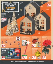 Garten im Marktkauf Prospekt in Bad Oeynhausen Aktueller Marktkauf Prospekt mit Garten, "Aktuelle Angebote", Seite 28
