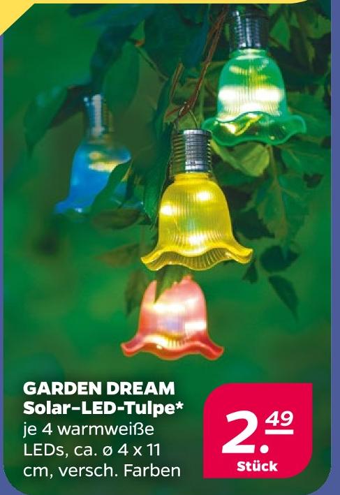 Solar-LED-Tulpe